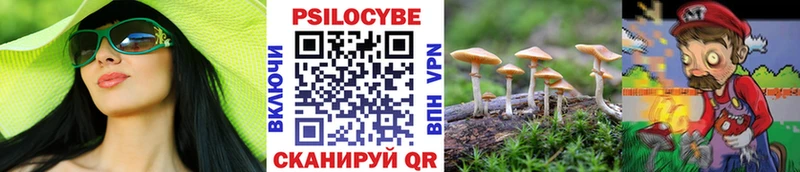 Псилоцибиновые грибы GOLDEN TEACHER Комсомольск-на-Амуре